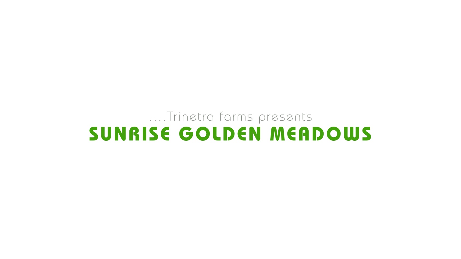 Sunrise Golden Meadows presentation slide 11 of 23